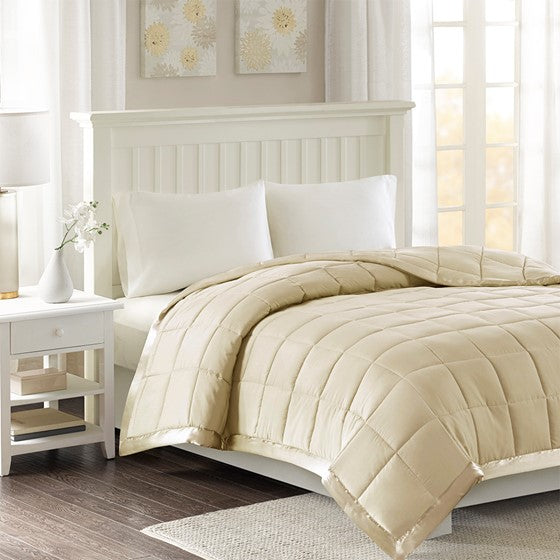 Windom All Season Hypoallergenic Microfiber Down Alternative Blanket with 3M Scotchgard