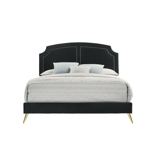 Black Velvet Zeena Upholstered Bed