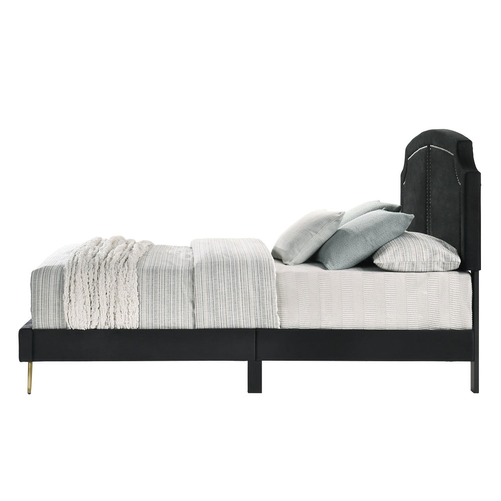 Black Velvet Zeena Upholstered Bed
