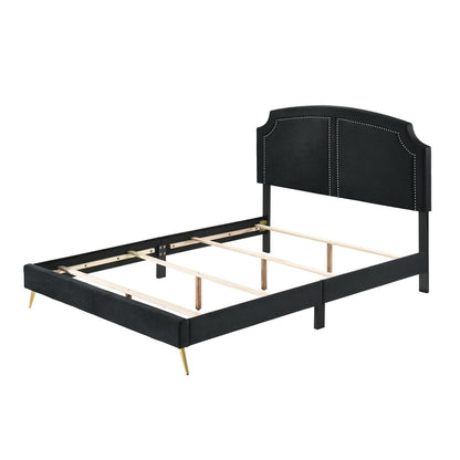 Black Velvet Zeena Upholstered Bed